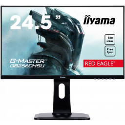 Монитор Iiyama 25