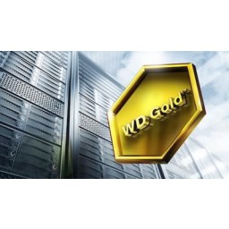 Жесткий диск 2Tb Western Digital Gold (WD2005FBYZ) - 6