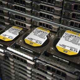 Жесткий диск 2Tb Western Digital Gold (WD2005FBYZ) - 9