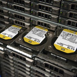 Жесткий диск 2Tb Western Digital Gold (WD2005FBYZ) - 12