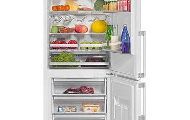 Двухкамерный холодильник Vestfrost VF 466 EW 187.5x70x63см