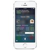 Смартфон Apple iPhone 5S 16Gb