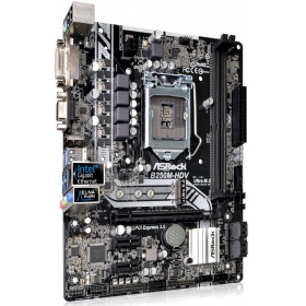 Материнская плата ASRock B250M-HDV